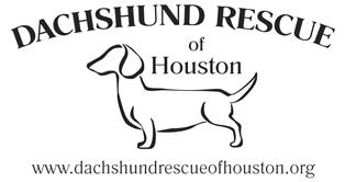 Dachshund Rescue of Houston