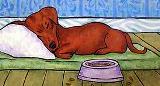 Dachshund Sleeping on a Dog Bed