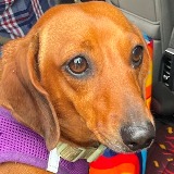 Rosie Roti (Receiving Care)